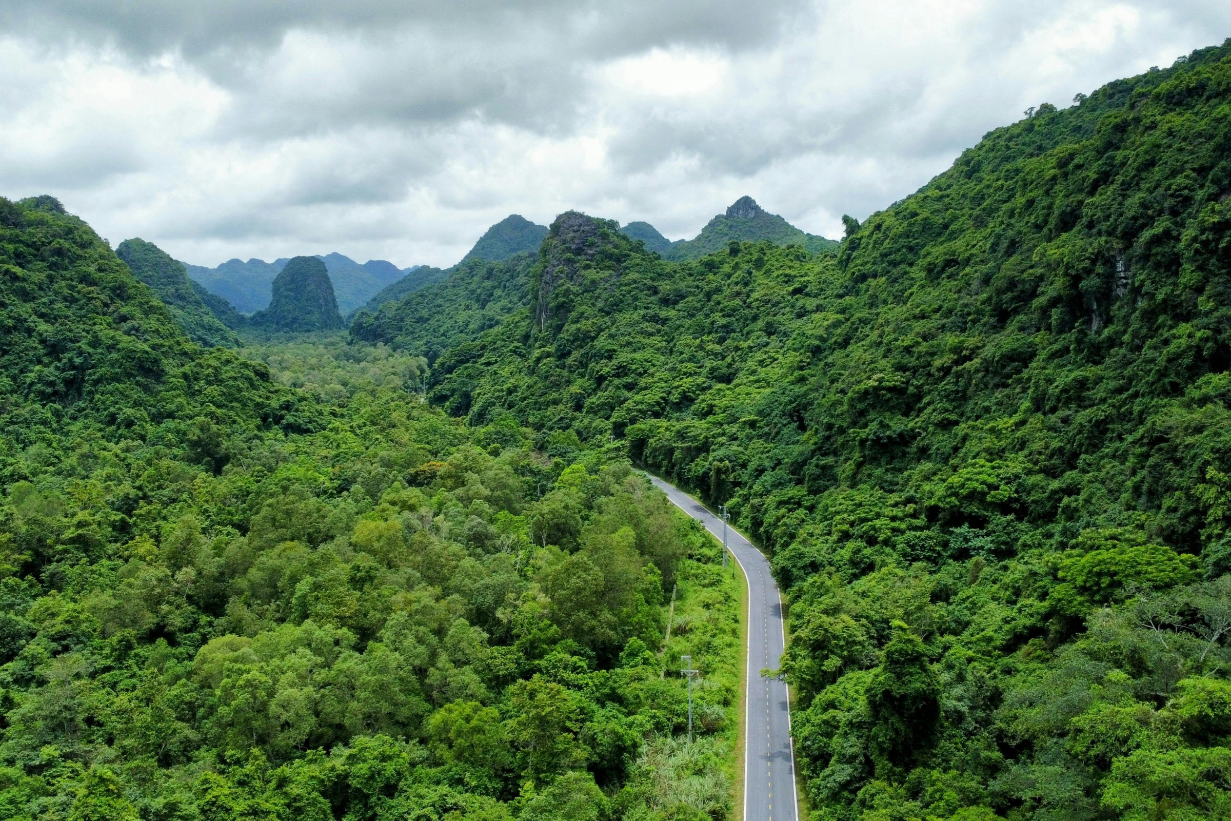 hai phong (4).webp